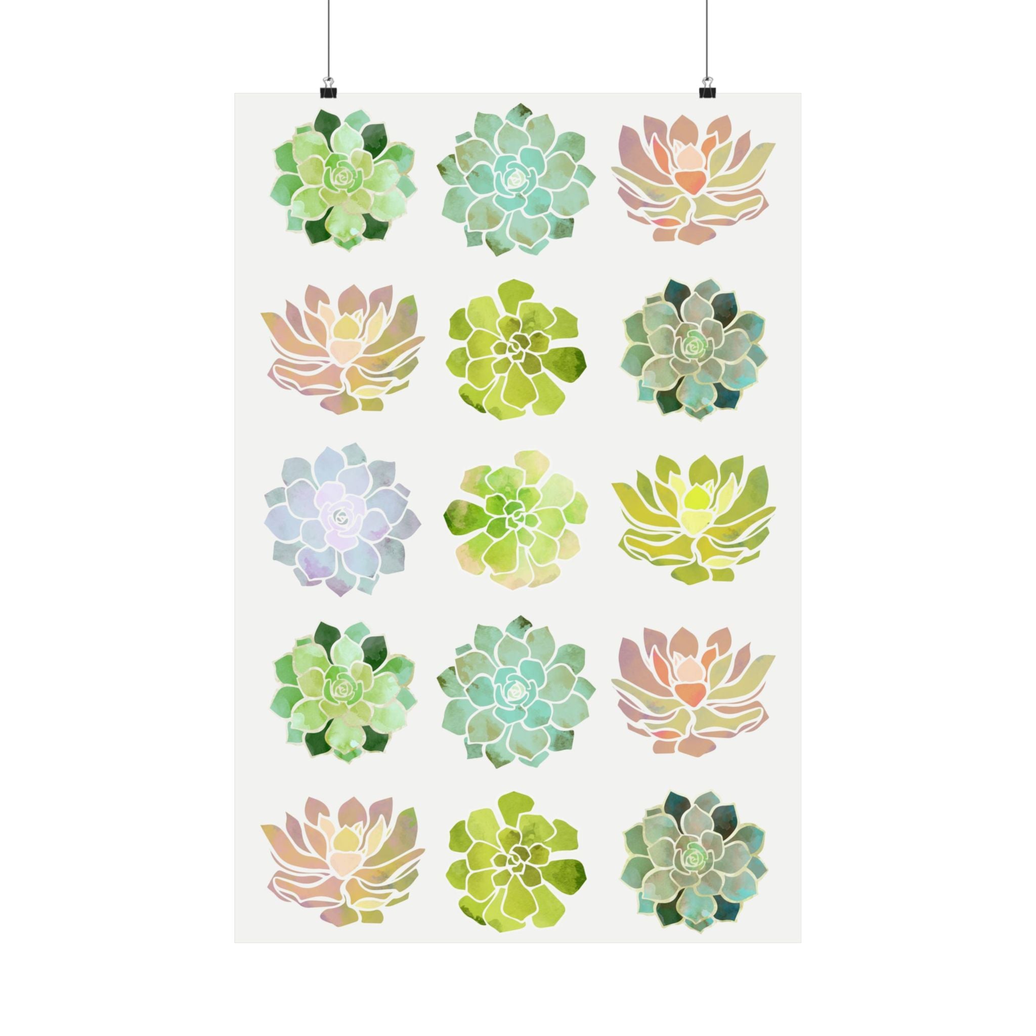 Spring Succulents - Poster Print - No Frame