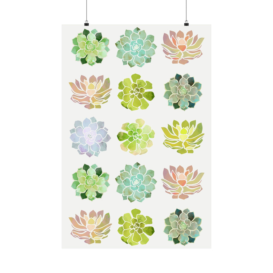Spring Succulents - Poster Print - No Frame