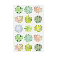 Spring Succulents - Poster Print - No Frame
