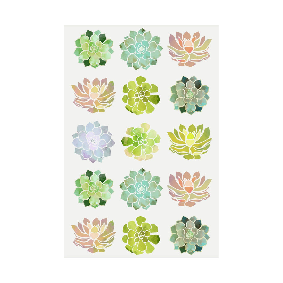 Spring Succulents - Poster Print - No Frame