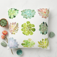 Spring Succulents - Decorative Pillow Cover